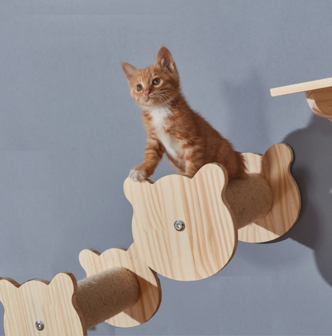 Premium Kletterwand für Katzen aus Massivholz