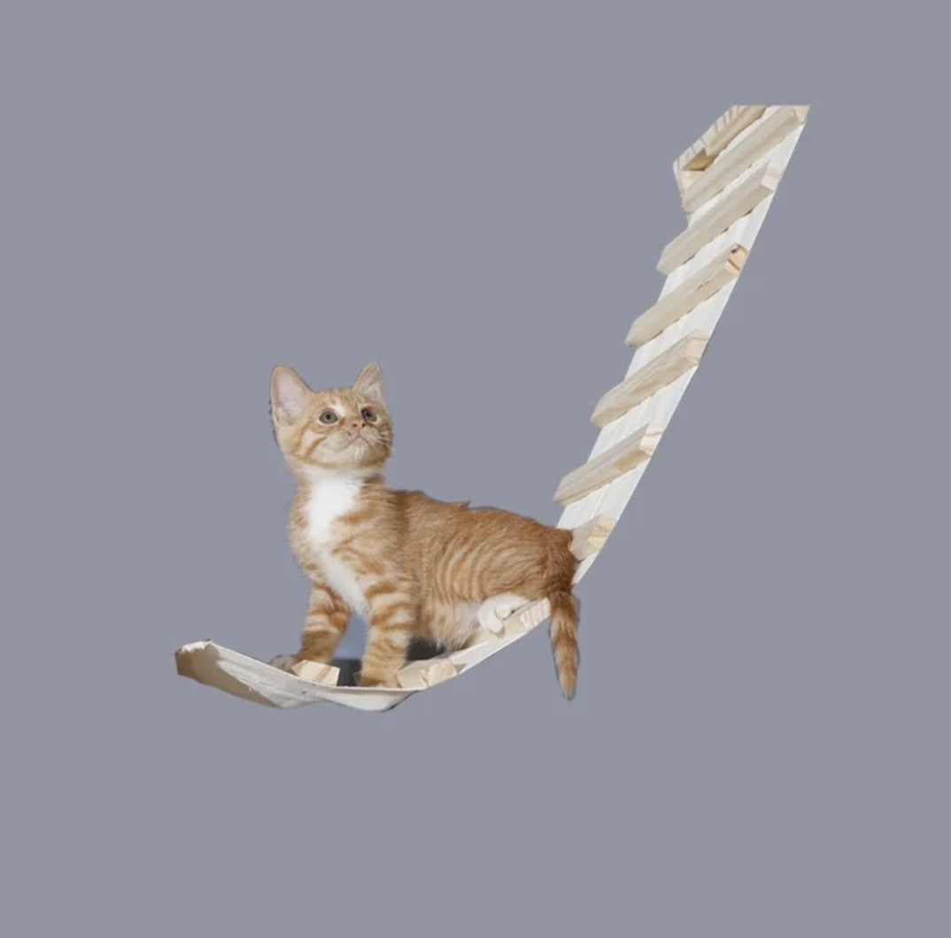 Premium Kletterwand für Katzen aus Massivholz