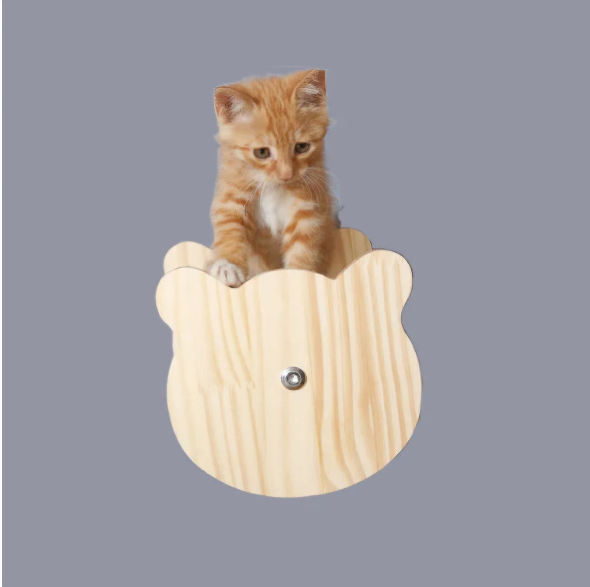 Premium Kletterwand für Katzen aus Massivholz