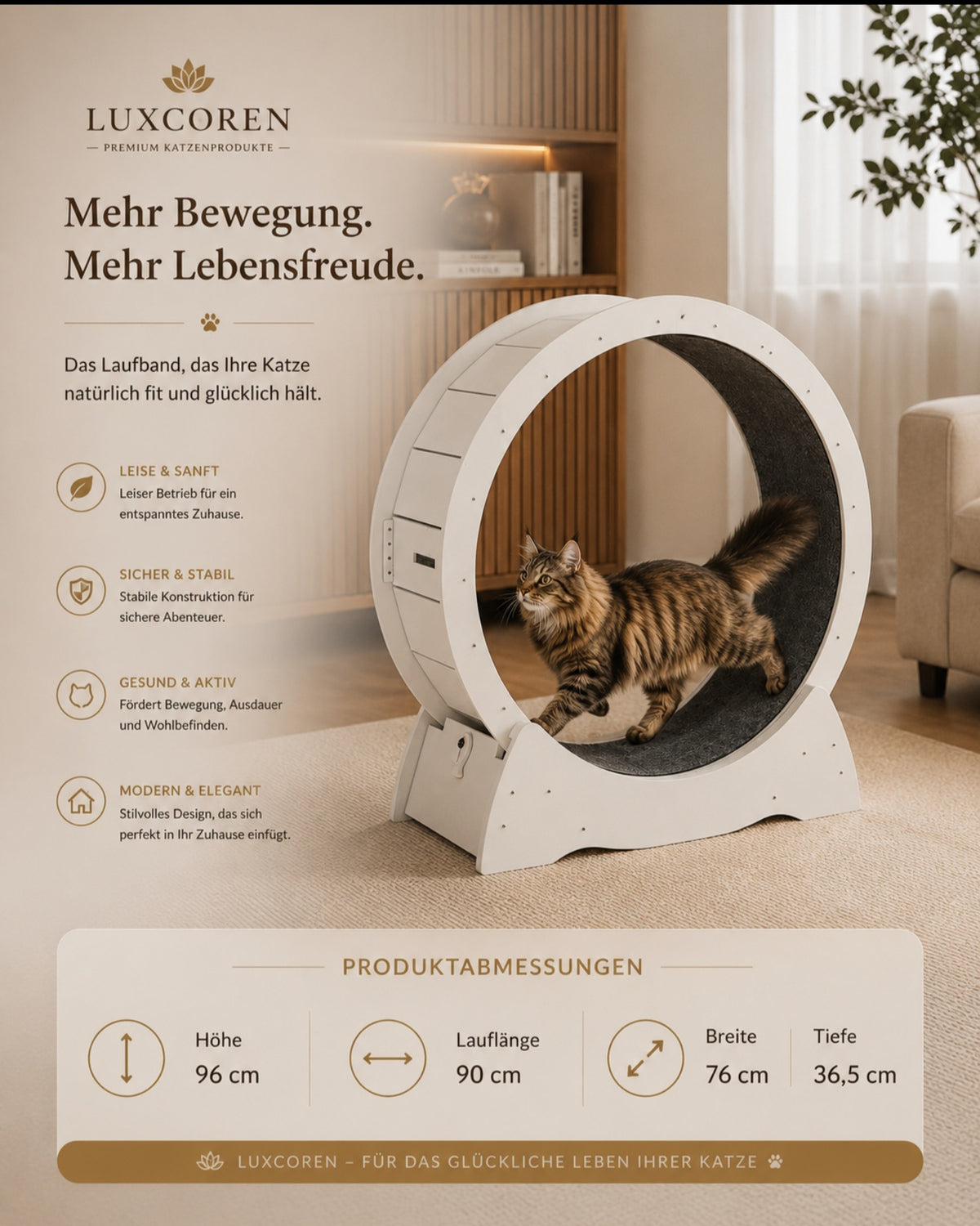 Premium Katzenlaufrad aus Holz – Leise & Stabil